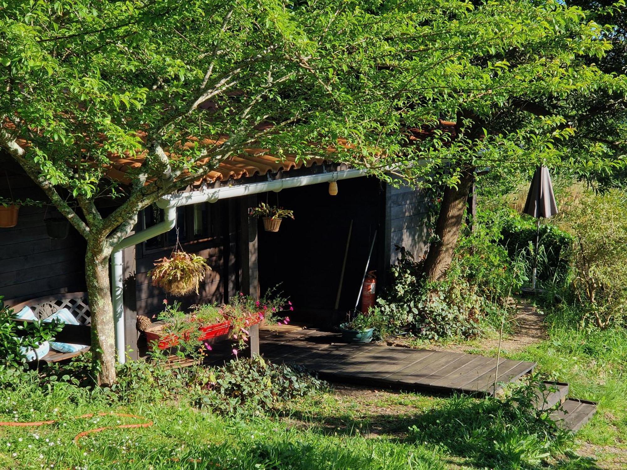 O Cantinho De Coura - A Cabana Paredes de Coura Extérieur photo