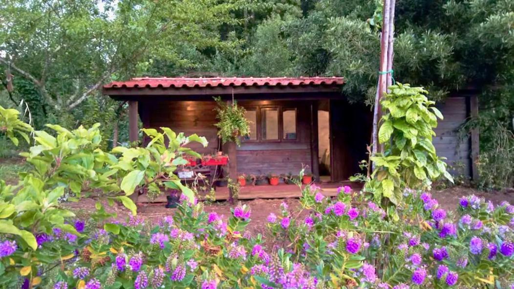 O Cantinho De Coura - A Cabana Paredes de Coura Extérieur photo